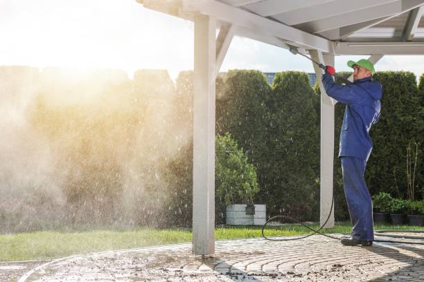 Best Solar Panel Cleaning  in Chatham, VA