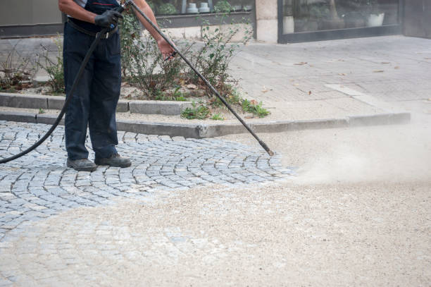 Best Restaurant Pressure Washing  in Chatham, VA